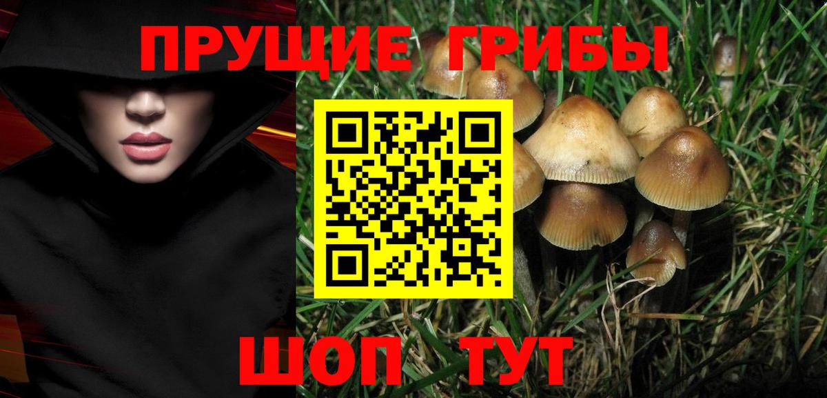 Галлюциногенные грибы MAGIC MUSHROOMS  Вход с VPN  Нарткала  купить закладку  Псилоцибиновые грибы Magic Shrooms 