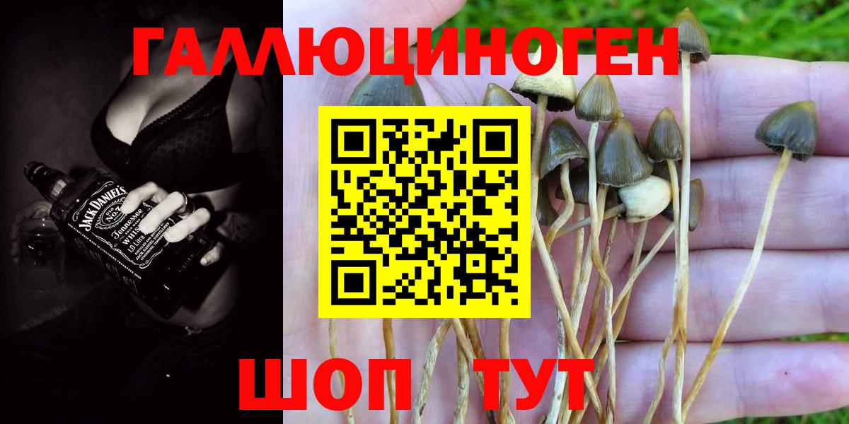 Галлюциногенные грибы MAGIC MUSHROOMS Нарткала